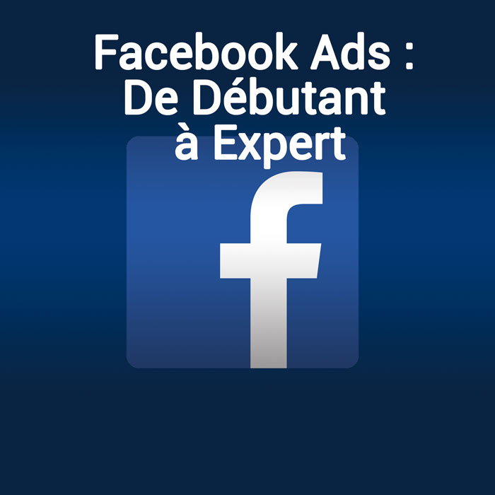 FACEBOOK ADS : De Débutant à Expert