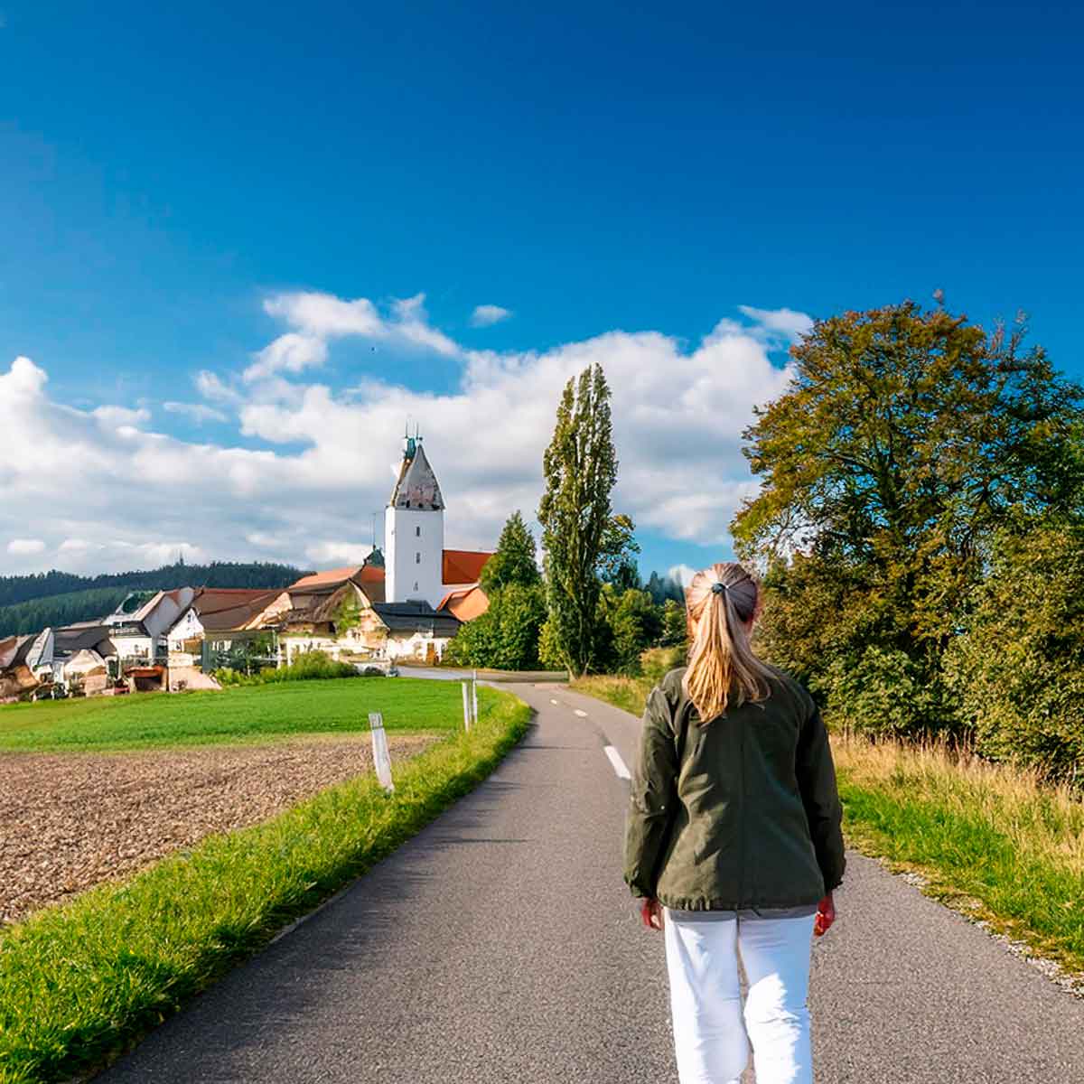 Allemand debutant / Niveau a1 a2