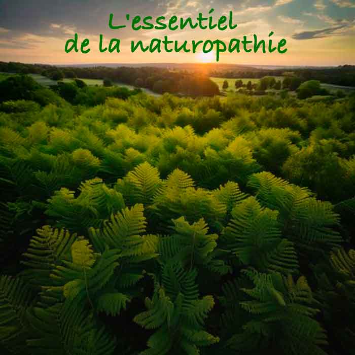 L'essentiel de la naturopathie