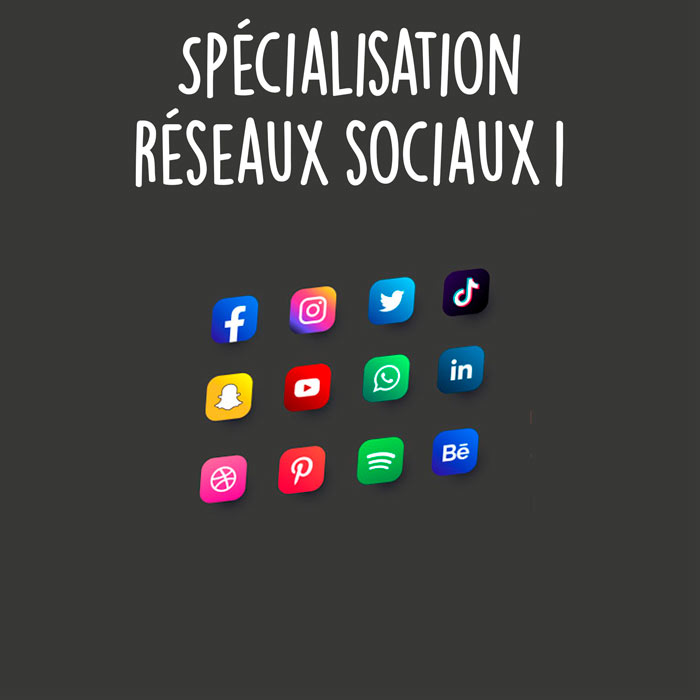 Spécialisation réseaux sociaux 1