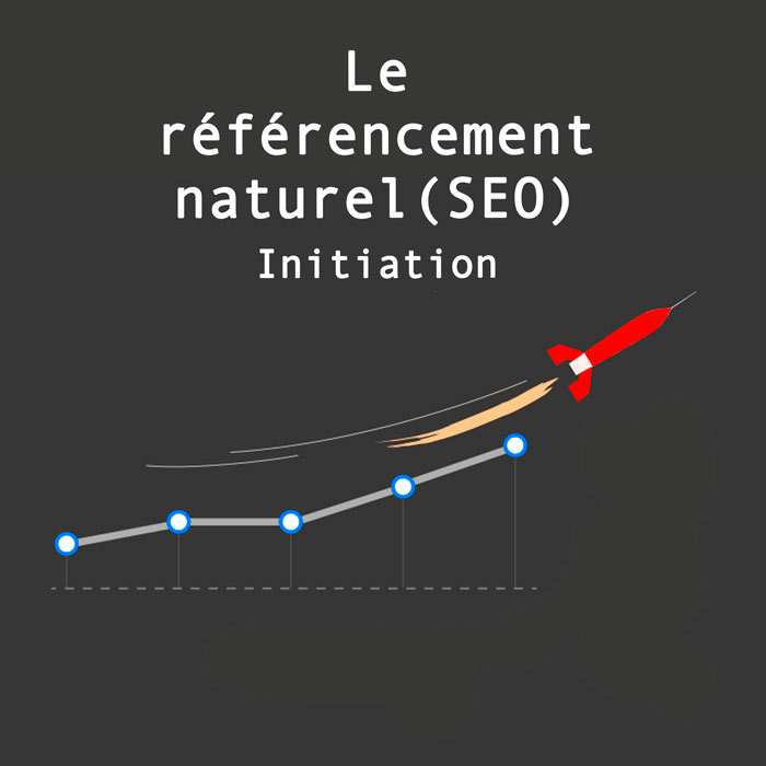 Le référencement naturel (SEO) - Initiation